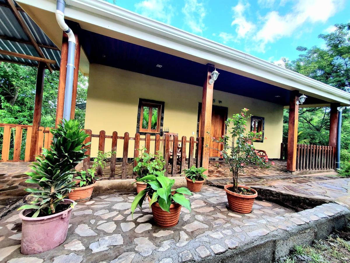 Villa The Jungle Mérida Exterior foto